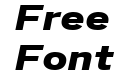 Benton Sans Wide Black Italic Benton Sans Wide Black Italic