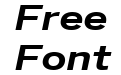 Benton Sans Wide Bold Italic Benton Sans Wide Bold Italic