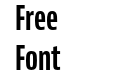 Bernina Sans Compressed Bold Bernina Sans Compressed Bold
