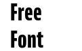 Bernina Sans Compressed Exbold