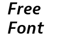 Bernina Sans Semibold Italic