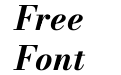 Bodoni Moda 9pt Bold Italic