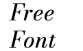 Bodoni Moda 9pt Medium Italic