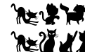CATS Regular CATS Regular