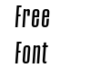 CONQUEST Medium Italic Italic CONQUEST Medium Italic Italic
