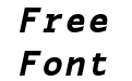 CS Gayle Mono Italic