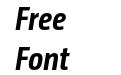 Camingo Dos Pro Cd Bold Italic