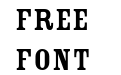 Che Guevara Golden Serif Che Guevara Golden Serif