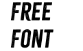 Citrus Gothic Italic Citrus Gothic Italic