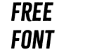 Citrus Gothic Rough Italic Citrus Gothic Rough Italic
