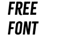 Citrus Gothic Solid Italic Citrus Gothic Solid Italic