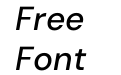DM Sans 18pt Medium Italic DM Sans 18pt Medium Italic