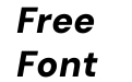 DM Sans Black Italic DM Sans Black Italic