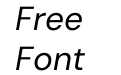 DM Sans Italic