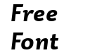 Dederon Sans Bold Italic Dederon Sans Bold Italic