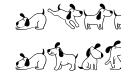 Doodle Dog Regular Doodle Dog Regular