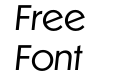 Dunbar Tall Book Italic