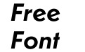 Dunbar Text Bold Italic