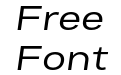 FSP DEMO Bruta Pro Extended Expanded Italic