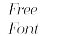 FSP DEMO Clarize Light Italic