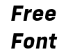 FSP DEMO Config Alt Bold Italic FSP DEMO Config Alt Bold Italic