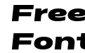 FSP DEMO Matrice Black Bold Italic FSP DEMO Matrice Black Bold Italic