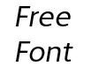 FSP DEMO The Main Italic