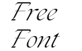 FSP DEMO The Seasons Light Italic FSP DEMO The Seasons Light Italic
