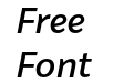 FSP DEMO Van Sans Medium Italic