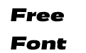 FSP DEMO Annuario Expanded Black Italic Regular FSP DEMO Annuario Expanded Black Italic Regular