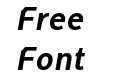 FSP DEMO CAD Bold Italic
