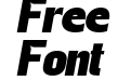 FSP DEMO Gegant Black Ita Italic FSP DEMO Gegant Black Ita Italic