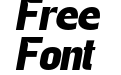 FSP DEMO Gegant Ext Bd Ita Italic FSP DEMO Gegant Ext Bd Ita Italic