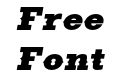 FSP DEMO Ranch Ext Blk Italic FSP DEMO Ranch Ext Blk Italic