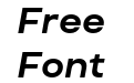 FSP DEMO TT Travels Text Bold Italic