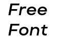 FSP DEMO TT Travels Text Demi Bold Italic FSP DEMO TT Travels Text Demi Bold Italic