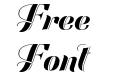 Festival Script Pro Festival Script Pro