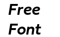 Fieldwork Italic Demi Bold