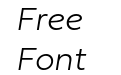 Fieldwork Italic Thin