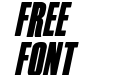 Film Noir Italic Film Noir Italic