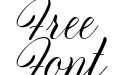 Final Destination Italic Final Destination Italic