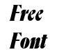 Flecha Bronzea Test M Black Italic Flecha Bronzea Test M Black Italic