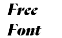 Flecha Test L Black Italic Flecha Test L Black Italic