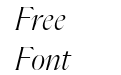 Flecha Test L Light Italic Flecha Test L Light Italic