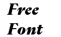 Flecha Test S Black Italic Flecha Test S Black Italic