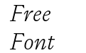 Flecha Test S Light Italic Flecha Test S Light Italic