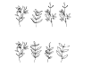 Flowers Leaves Regular Flowers Leaves Regular