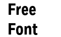 Fort Cond Bold