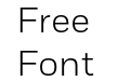 Fort Light