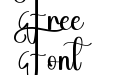 Freeday Regular Freeday Regular